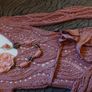 Savida Occasional Top. Size 8 Image 4