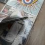 The Who job lot of Sealed lps Image 6