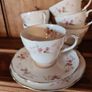 21 piece  duchess Glen pattern Image 6