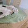 porcelain collectible Image 6