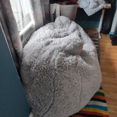 Free Large Bean Bag