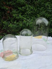 3 X Victorian Glass Domes