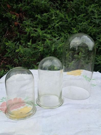 3 X Victorian Glass Domes