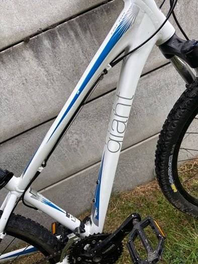 Giant Revel Bike