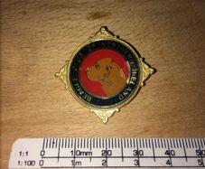 Brooch