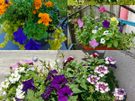 Gardener Image 3