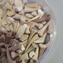 SHark teeth fossils etc. Image 4