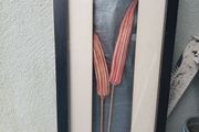 Stunning framed Okra Pods Picture