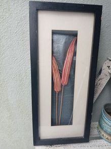 Stunning framed Okra Pods Picture