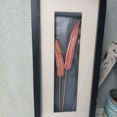Stunning framed Okra Pods Picture