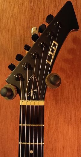 James Hetfield Vulture LTD by ESP