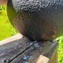 Vintage Cast Iron Kettle Image 6