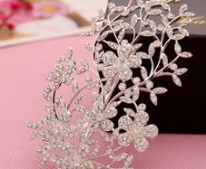 Bridal Head Piece