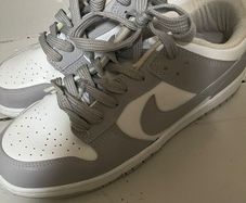 nike dunks