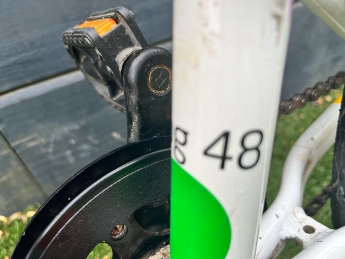 Frog 48 Bike
