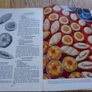 Woman and Home - Cordon Bleu Cookery - Vintage Retro Cook Book Image 2