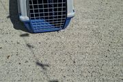 pet carrier