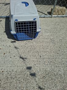 pet carrier