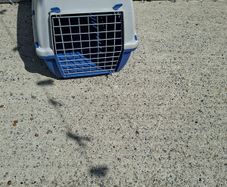 pet carrier