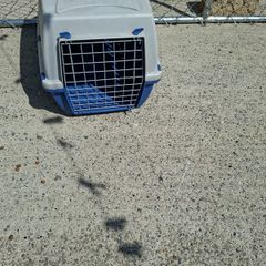 pet carrier
