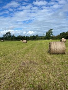 Hay round bales