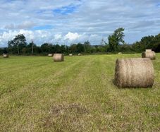 Hay round bales