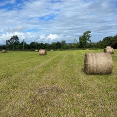 Hay round bales