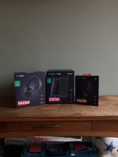 Gaming X Trust Bundle