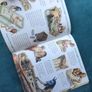 My Best Book of Mummies Image 3