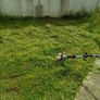 lawn mowing service Image 2