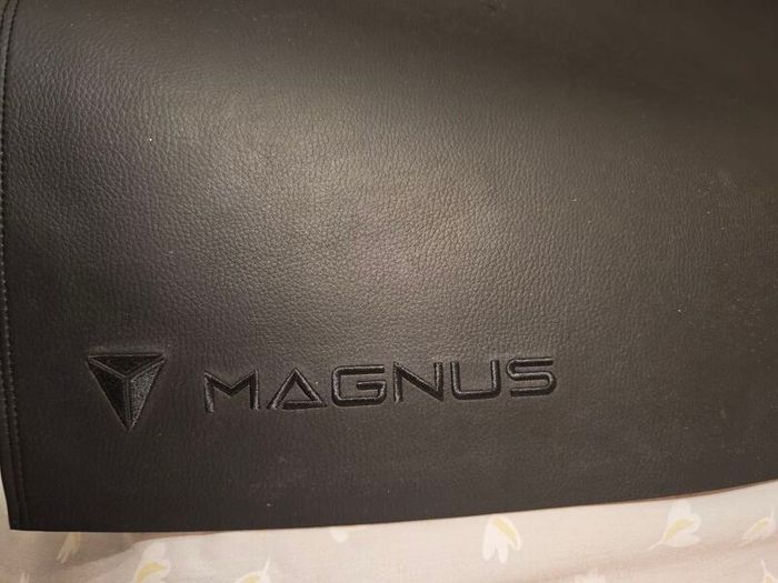 SECRETLAB magpad desk mat