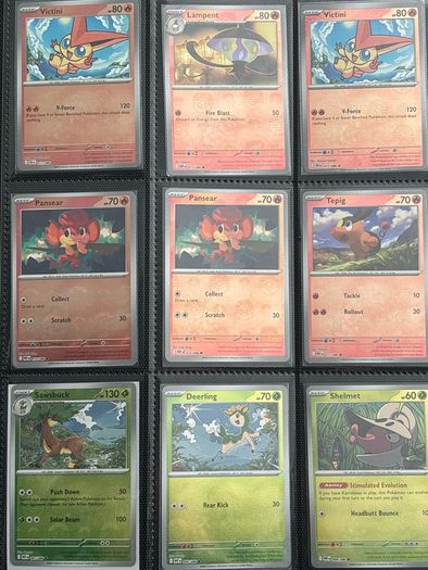 pokemon cards  pokeballs master ball