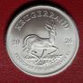 2026 Krugerrand 1 oz .999 Silver coin in Square capsule Image 2