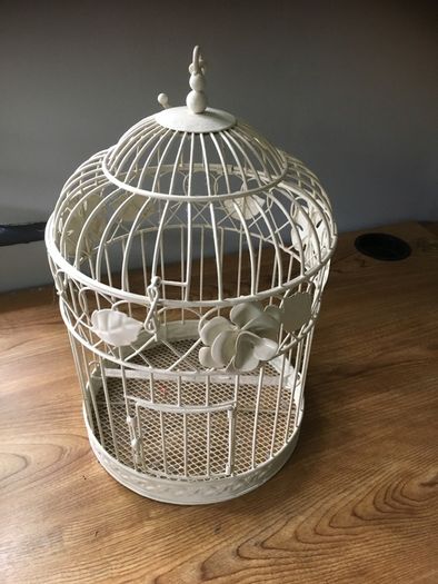 Basket, hanging plant cage and paper stand