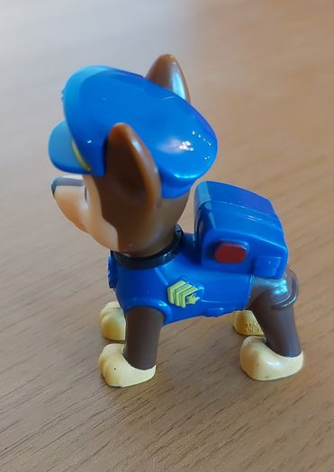 Paw Patrol Case