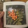 The Book Of Tomnafinnoge. Edited By Sylvia Cullen. Photographs By Terence White. First Edition Large Volume Hardback . See Photos For Same. Image 4