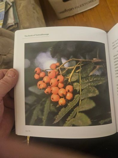 The Book Of Tomnafinnoge. Edited By Sylvia Cullen. Photographs By Terence White. First Edition Large Volume Hardback . See Photos For Same.