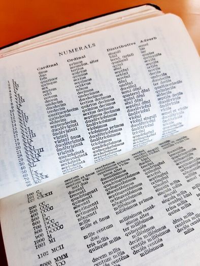 Collins pocket Latin-English dictionary