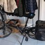 foldable bike Image 4