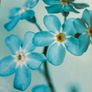 3D Floral Picture Image 2