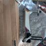 BNIB Carling Tap Image 2