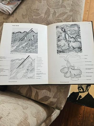 An Atlas Of Histology. By W.h. Freeman And Brian Bracegirdle. Second Edition Large Volume Hardback With Dustjacket.  Book In Good Condition.  Dustjacket Tatty.  See Photos For Same.
