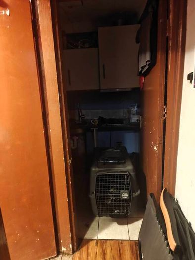 Large AniOne Hard-Shell Dog Crate / Travel Carrier (Size L)