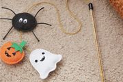 Halloween Decorations