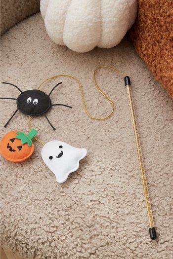 Halloween Decorations
