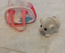 Zhu Zhu toy