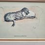 3 x Vintage Cecil Aldin prints, Terrier & Irish Wolfhound Image 7