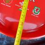 brains brewery's Welsh beer/drinks tray, mint condition,,price includes post includes to anywhere in Ireland thank you. Image 3