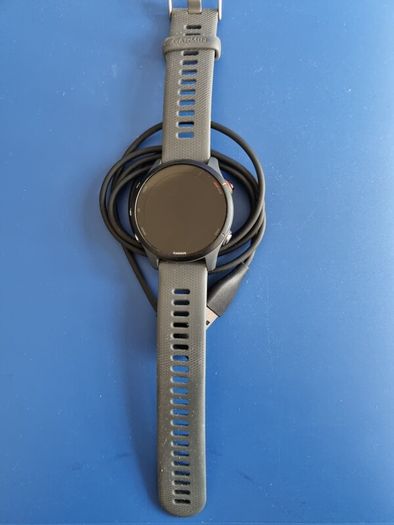 Garmin Forerunner 255