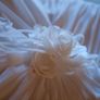Romantica by Devon- Monte Carlo Style Image 3